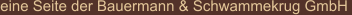 eine Seite der Bauermann & Schwammekrug GmbH